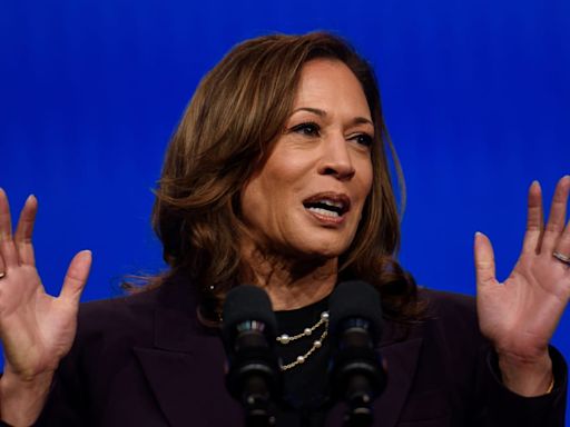 Kamala Harris Offers Swing State Clue to Veepstakes Winner