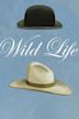 Wild Life (2011 film)