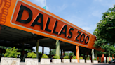 2024 Dallas Zoo Dollar Days announced: Dates and how to get $1 tickets