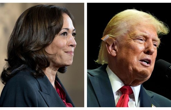 Harris takes 4-point lead in Pennsylvania; Casey up 5 on McCormick: poll
