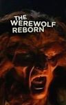 The Werewolf Reborn!