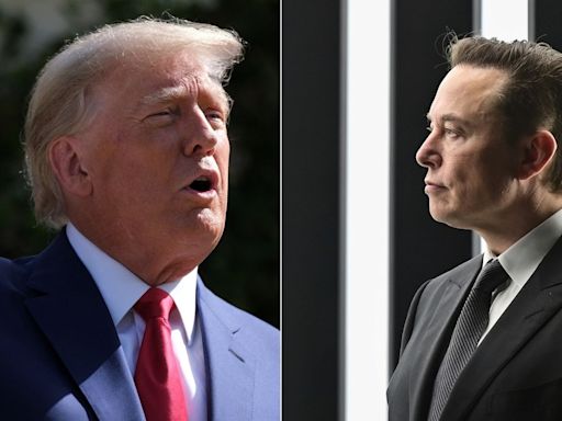 Elon Musk to become a policy advisor if Donald Trump returns to White House?