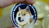 The dogecoin community is planning to launch a physical token to the moon in December
