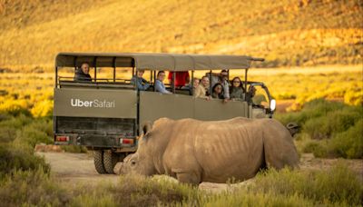 Uber launches $200 safari experiences in South Africa – here’s how you can book