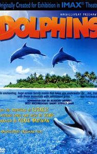 Dolphins