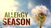 High winds in El Paso intensifies spring allergies: tips from doctor to manage symptoms - KVIA