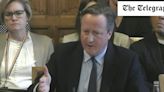 Cameron gives the Lords their first jolt of erotic joy in years