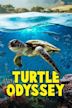 Turtle Odyssey