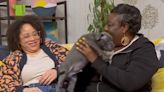 Gogglebox family introduce new addition sending fans into a frenzy