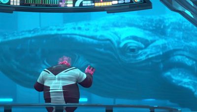 Can We Talk to Whales? Star Trek Says Yes. Science Says Maybe