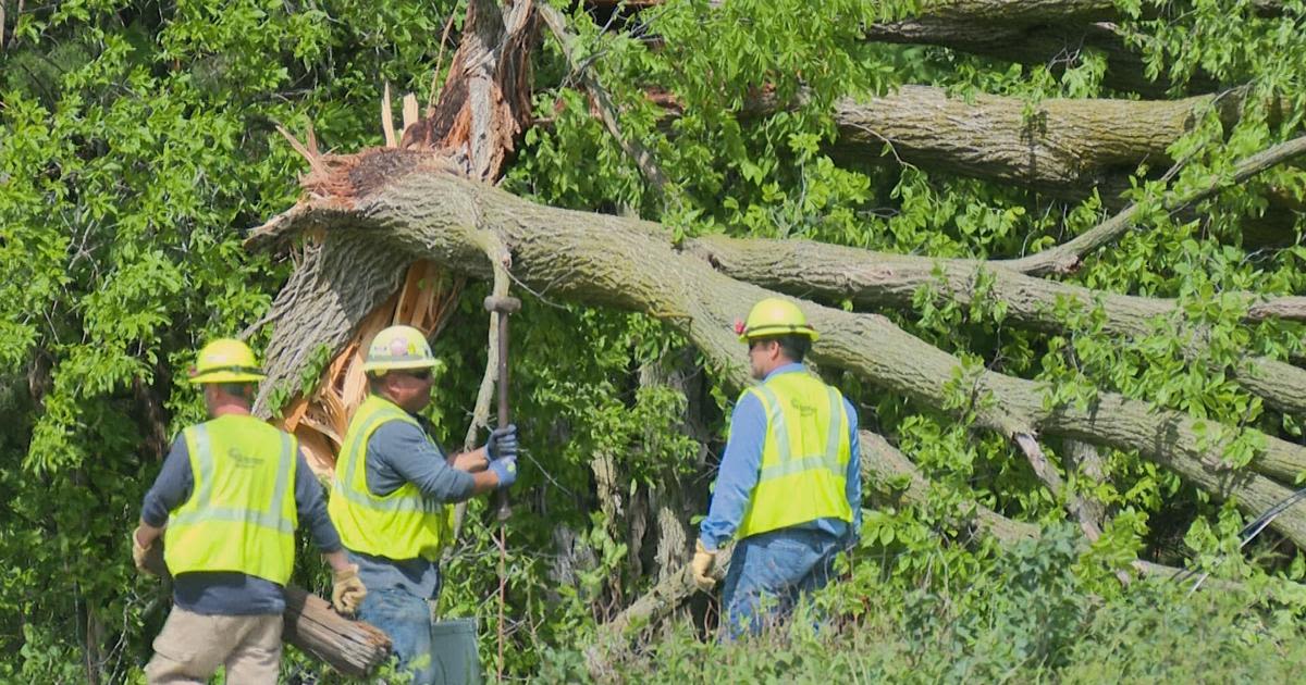 Cleanup efforts underway after storms pass through mid-Missouri