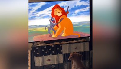 Dog's reaction when owner puts her favorite Disney movie on melts hearts