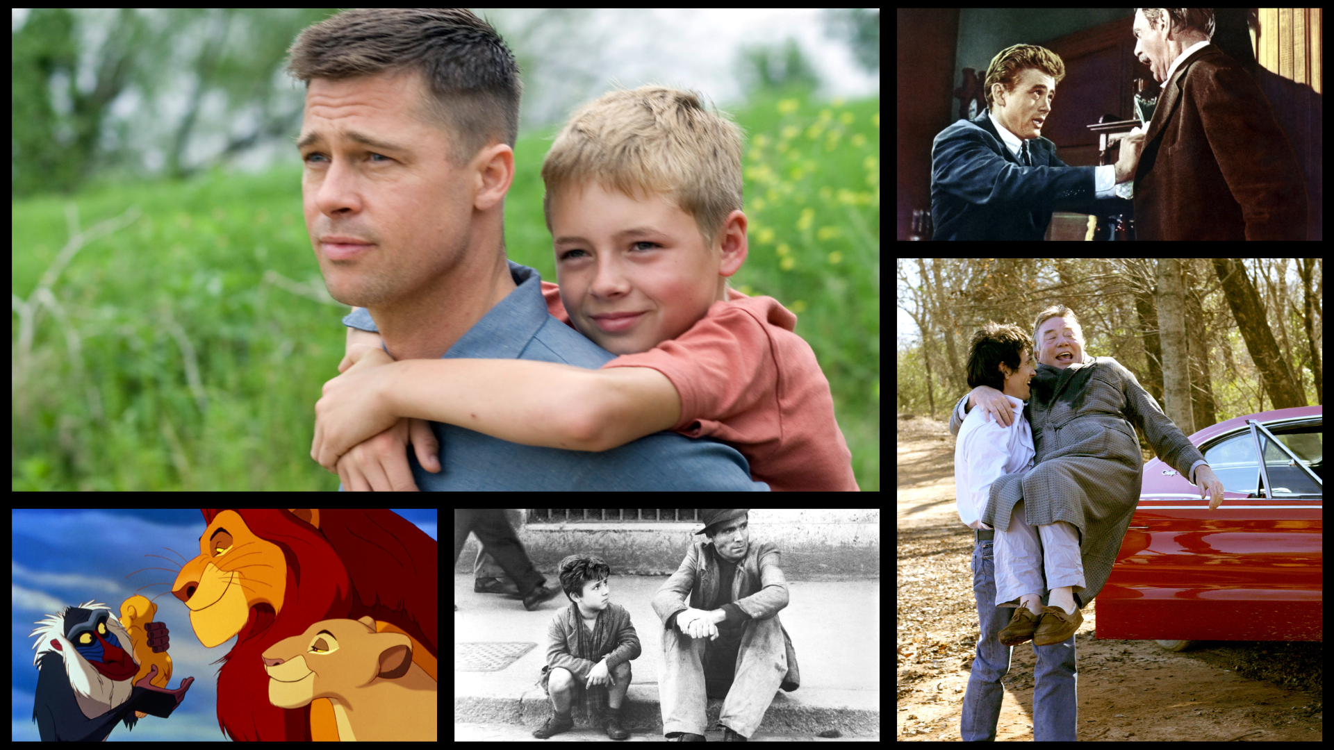 The Best Father and Son Films: ‘The Tree of Life,’ ‘The Lion King,’ ‘Nowhere Special,’ and More