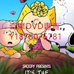 DVD 2022年 查理·布朗，要注意小事/Its the Small Things,Charlie Brown 動漫