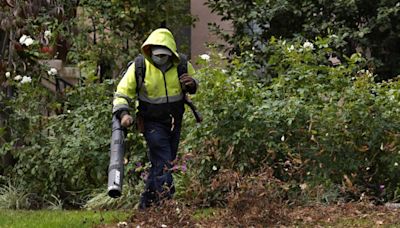 The problem with leaf blowers — and what you can do instead