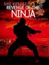 Revenge of the Ninja