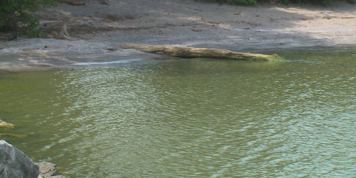 UToledo to conduct study on impact of airborne toxin from algal bloom