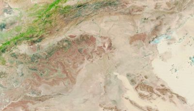 Sahara Desert sees a surprising burst of greenery, NASA shares stunning images | Watch | Mint