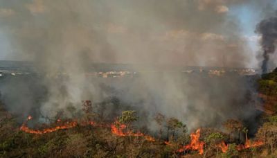 Incendios forestales afectan a 47 comunidades indígenas en la Amazonía peruana: exigen derogación inmediata de ‘Ley Antiforestal’