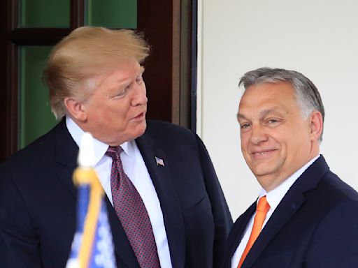 There’s an unofficial NATO summit in DC: meeting with Trump allies