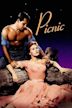 Picnic (1955 film)