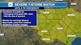 Severe Thunderstorm Watch for South Carolina until 8 p.m.