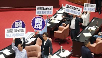 藍白聯手選罷法逕付二讀 黃珊珊嗆綠：執政者不想改革 混淆是非