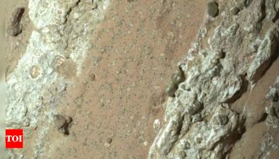 Wait! What! NASA's Perseverance Rover detects signs of microbial life on Mars - Times of India