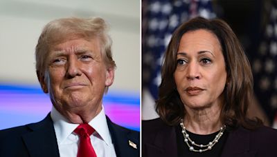 Fox News Poll: New matchup, same result — Trump bests Harris by one point