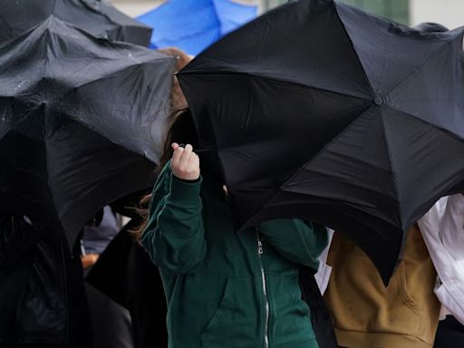 Devon braces for more 'heavy persistent' downpours after 44mm of rain yesterday