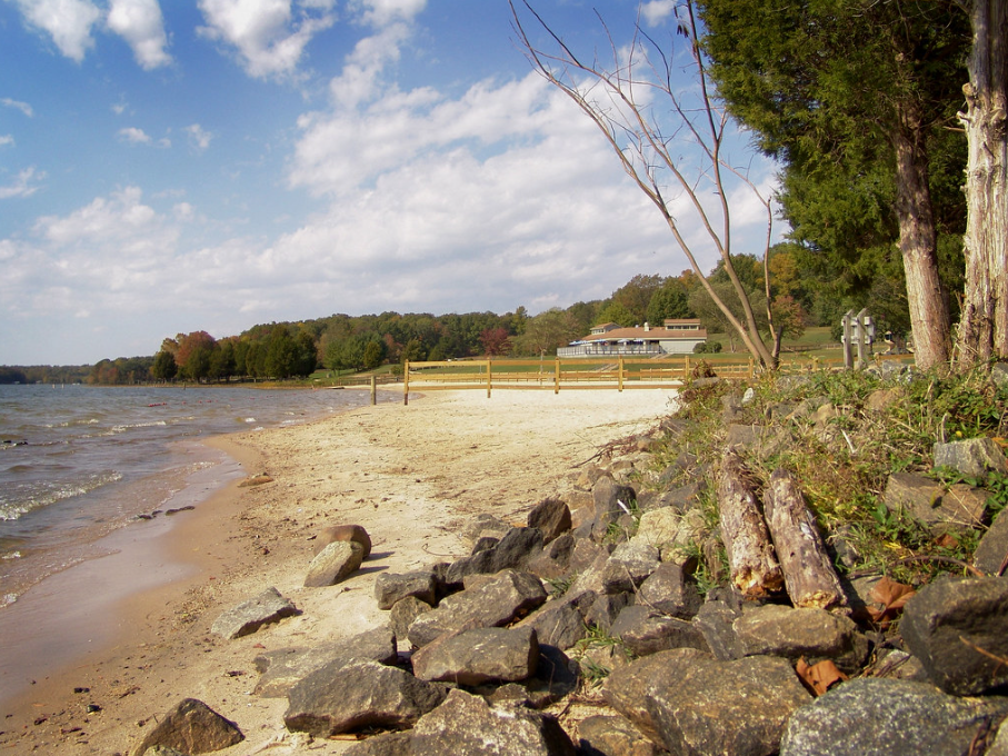 Lake Anna drowning: Father, son dead after dad's rescue attempt in Virginia