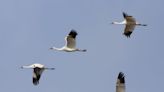 Amid fight on Quivira refuge water, Jerry Moran calls on federal government to stand down