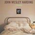 Awake (John Wesley Harding album)