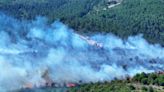 Istanbul deploys AI, drones, fire towers to combat forest fires