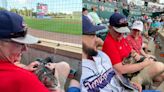 You kitten me!? Fans bring their cats to Jumbo Shrimp game