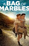 A Bag of Marbles (2017 film)