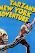 Les Aventures de Tarzan à New York