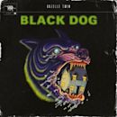 Black Dog