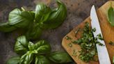 Check Out These Tips on How to Grow, Harvest and Cook With Basil
