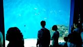 地球日公布救助海龜成果 Xpark宣布市民卡有優惠