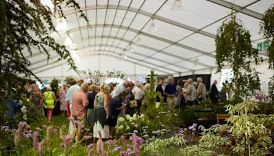 Flower show organisers draft in bigger marquee after rise in bookings