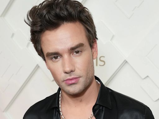 Liam Payne’s planned documentary movie ‘on ice’ as singer focuses on health