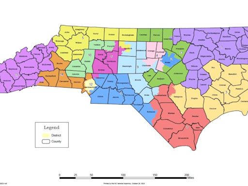 A truly remarkable argument in favor of gerrymandering