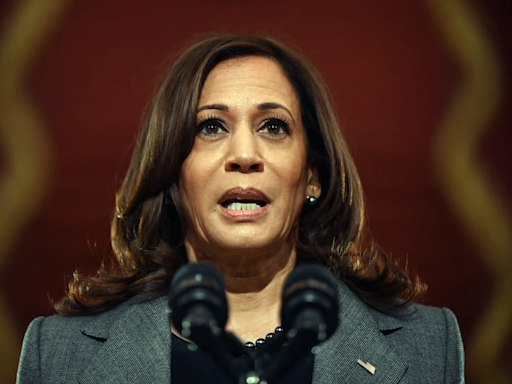 Internet Says Kamala Harris Is "Brat", And Her Campaign Is Embracing It