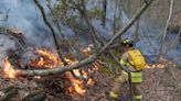 Drones, UTVs used to put out Bolton brush fire