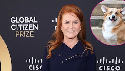 Sarah Ferguson Says Her and Queen Elizabeth's Dogs Get Along Well