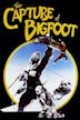 The Capture of Bigfoot