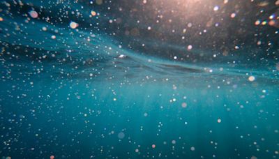 ‘Dark oxygen’ is being produced 13,000 feet below ocean surface, ground-breaking study finds