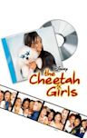 The Cheetah Girls (film)