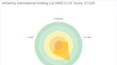 WISeKey International Holding Ltd (WKEY): A Deep Dive into Its Performance Potential